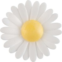 Esspapierblumen weiß
