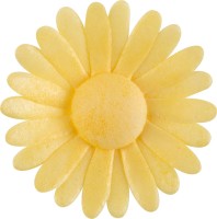 Esspapierblumen gelb
