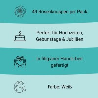 Zuckerrosenknospe weiß Fakts