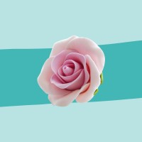 Feinzuckerrosen rosa