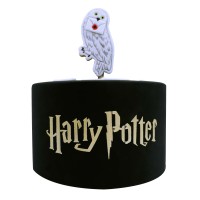Harry Potter Schablone Schriftzug auf Torte