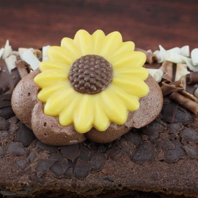Brownie-Dessert mit Schokoladenblüten und Sonnenblumen-Dekor