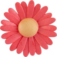 Esspapierblumen rot