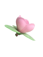 Esspapierrosen mit grünem Blätterkranz 
