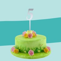 Cake Topper spiegel 5 auf Torte