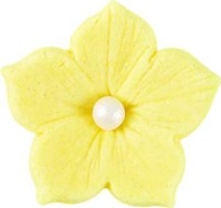 Zuckerblumen Pastell
