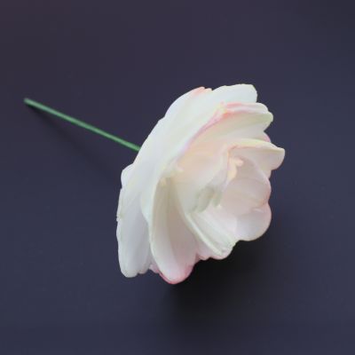 Samtrose Weiß, Rosa mit Draht