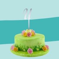 Cake Topper spiegel U auf Torte