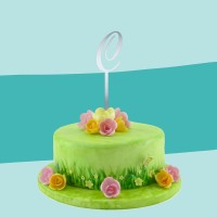 Cake Topper spiegel C auf Torte