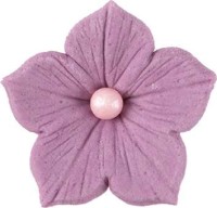 Zuckerblumen Pastell