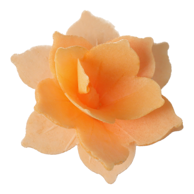 FS-6126_FS-6126_4