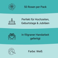 Zuckerrose weiß Fakts
