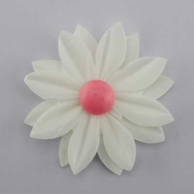 Rose Weiß mit Farbigen Stempel