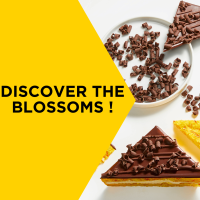 Blossoms dark Chocolate Callebaut Mona Lisa 2,5kg