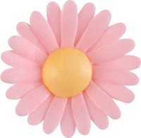 Esspapierblumen rosa