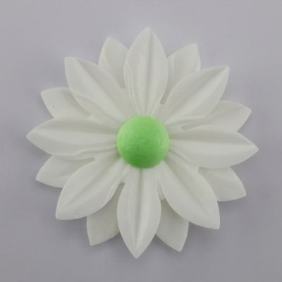 Rose Weiß mit Farbigen Stempel