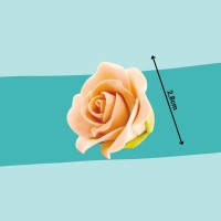 Zuckerrose apricot Maße