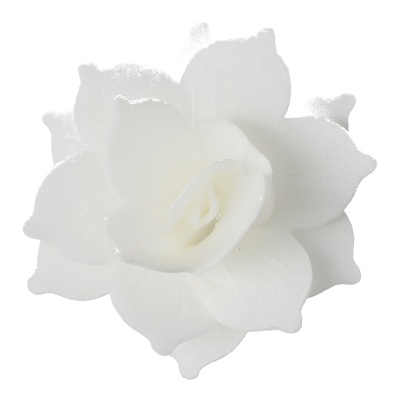 FS-6126_FS-6126_7