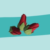 Zuckerrosenknospe rot