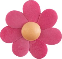 Esspapierblüten sortiert