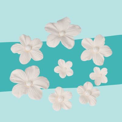 COR-KKCJ4-WH