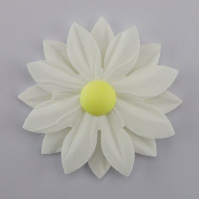 Rose Weiß mit Farbigen Stempel