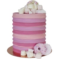 ps63-packagingcake